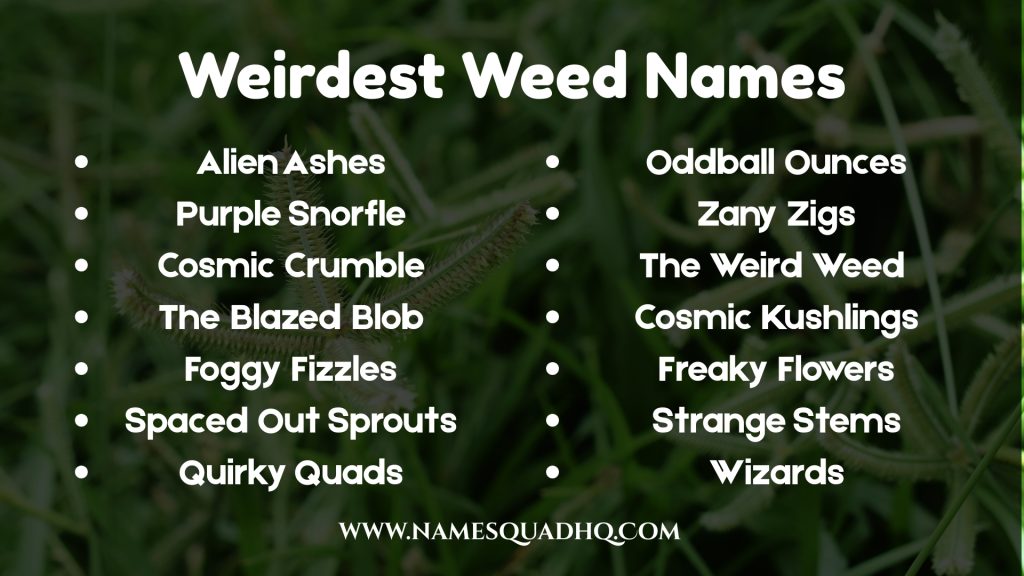 Weirdest Weed Names