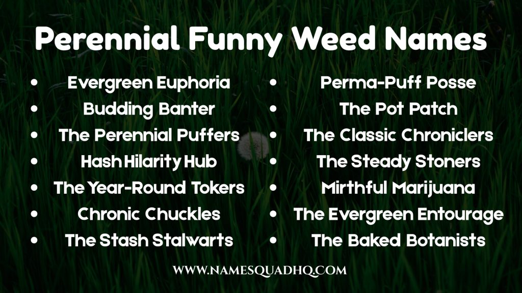 Perennial Funny Weed Names