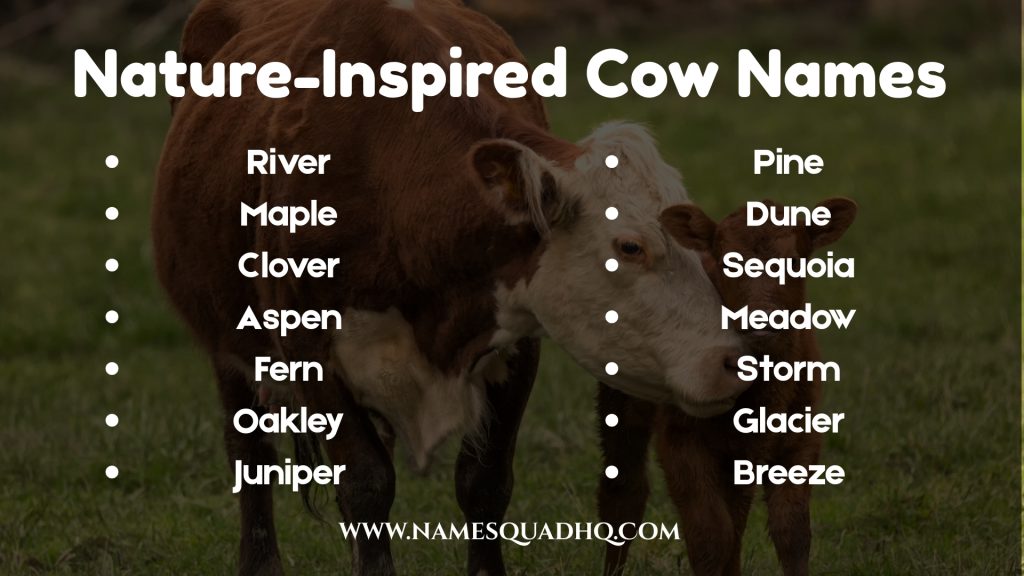Nature-Inspired Cow Names