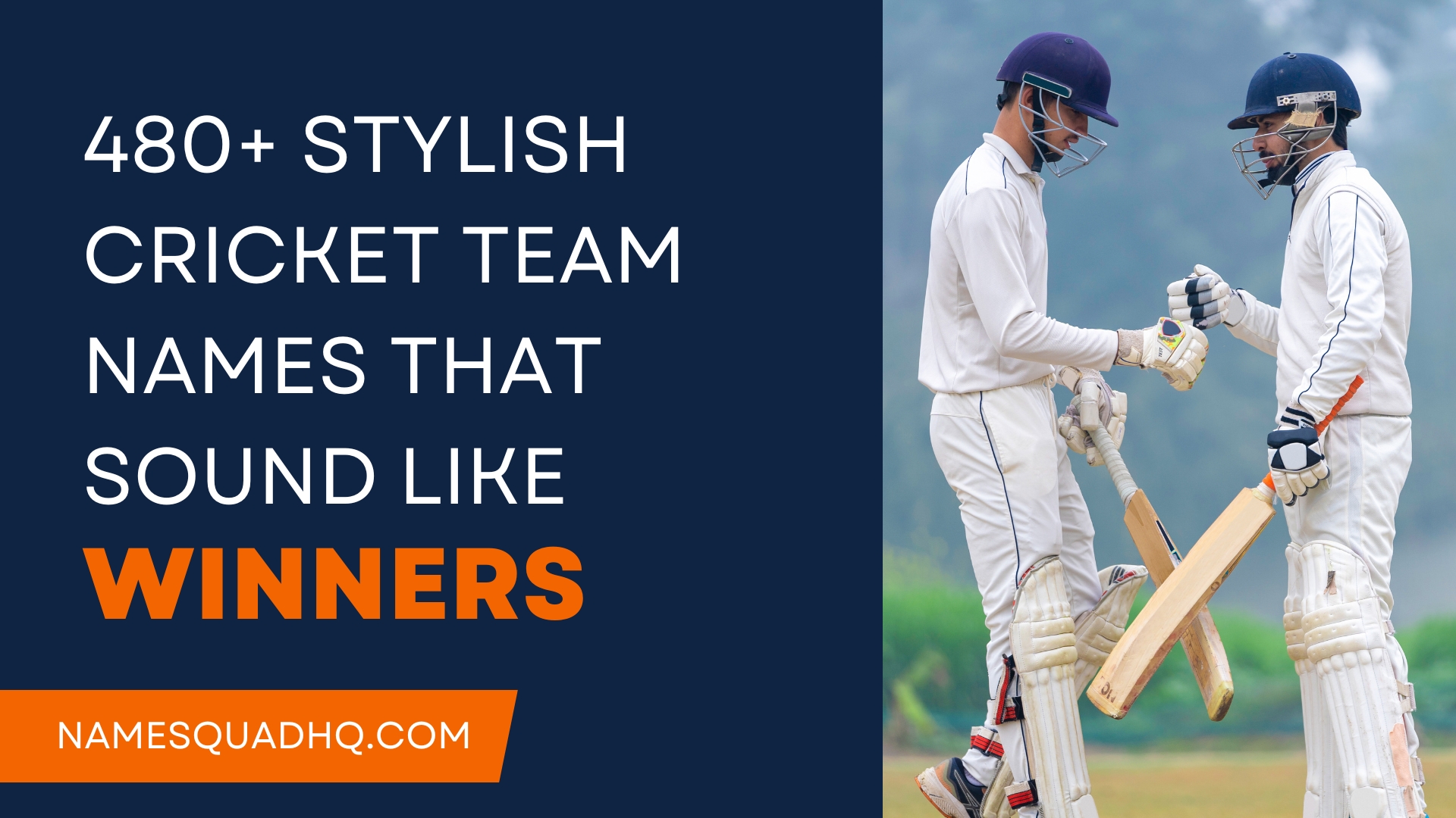 480+ Stylish Cricket Team Names That Sound Like Winners