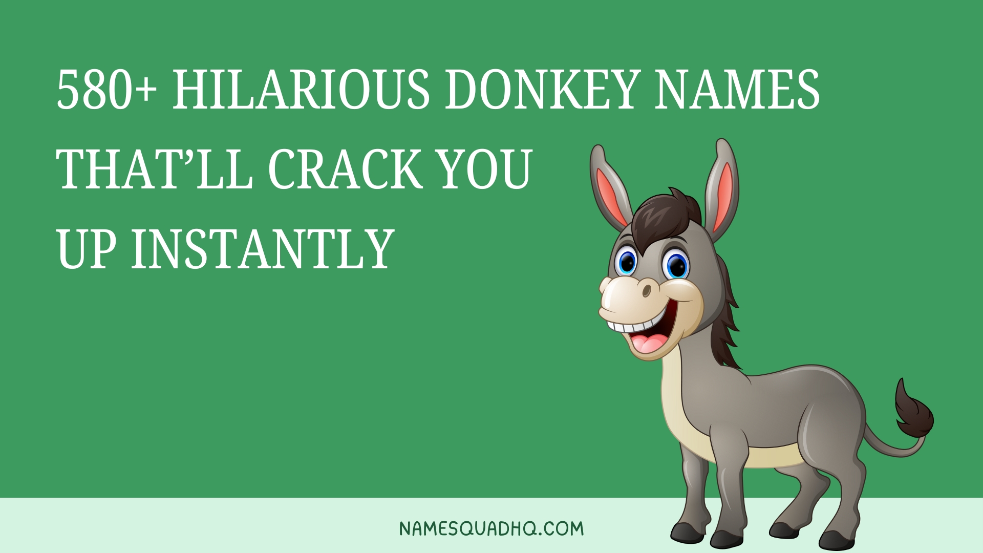 580+ Hilarious Donkey Names That’ll Crack You Up Instantly