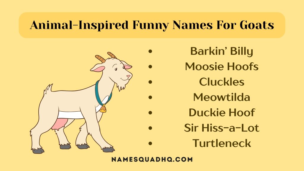Animal-Inspired Funny Names For Goats