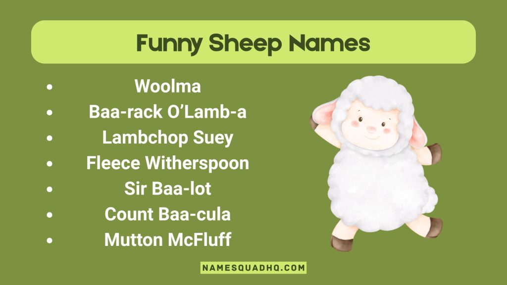 Funny Sheep Names