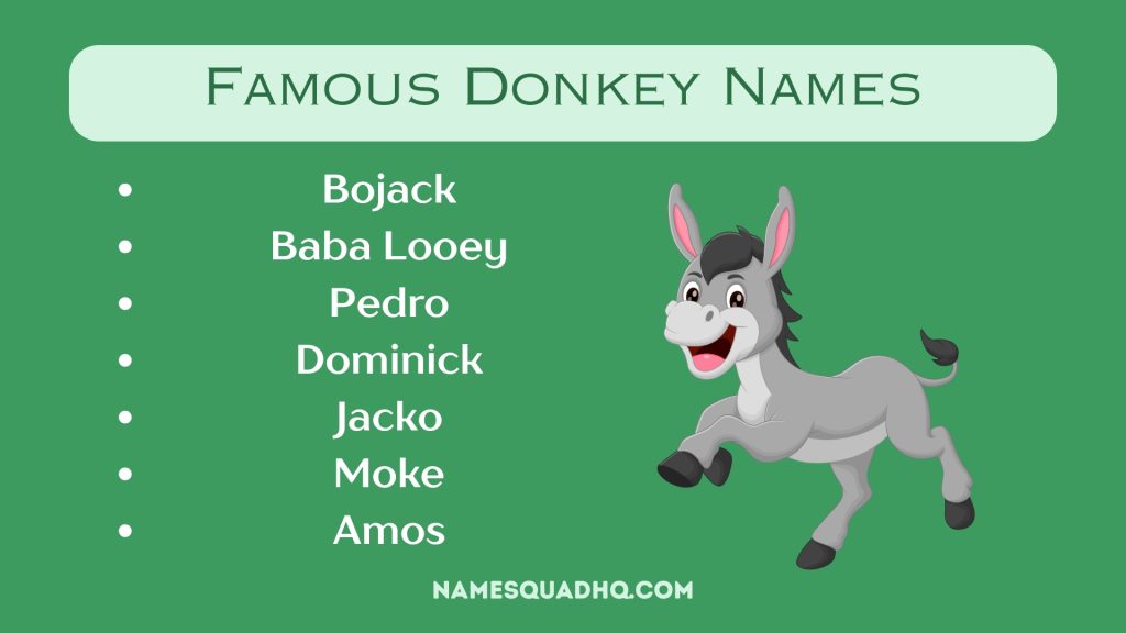 Famous Donkey Names