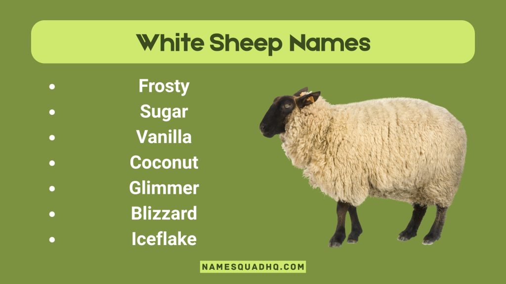 White Sheep Names