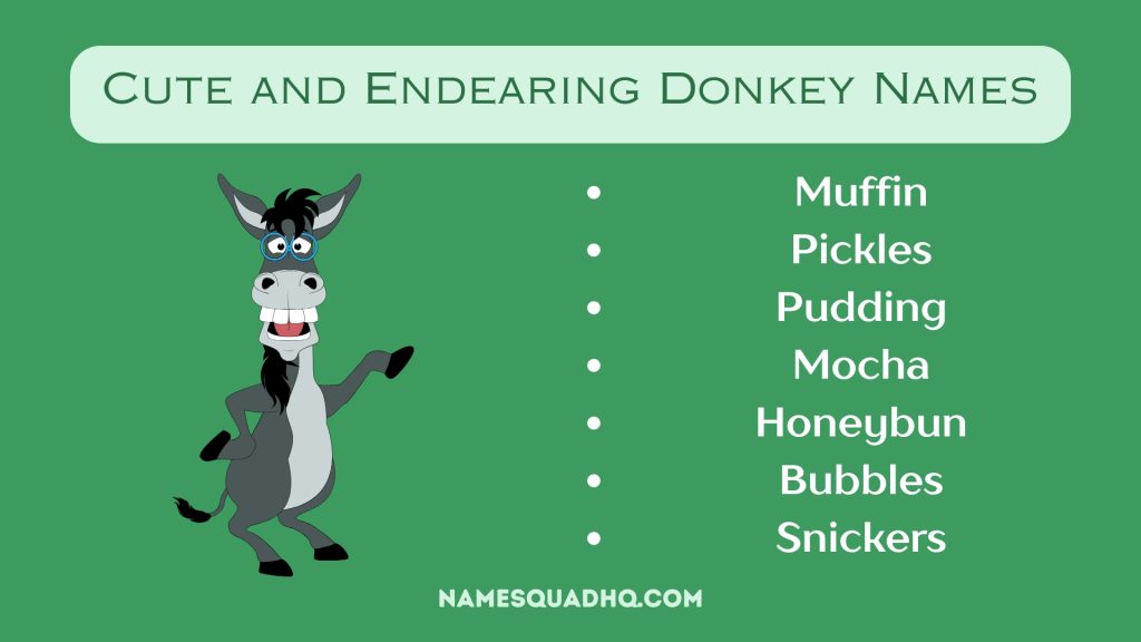 Cute and Endearing Donkey Names