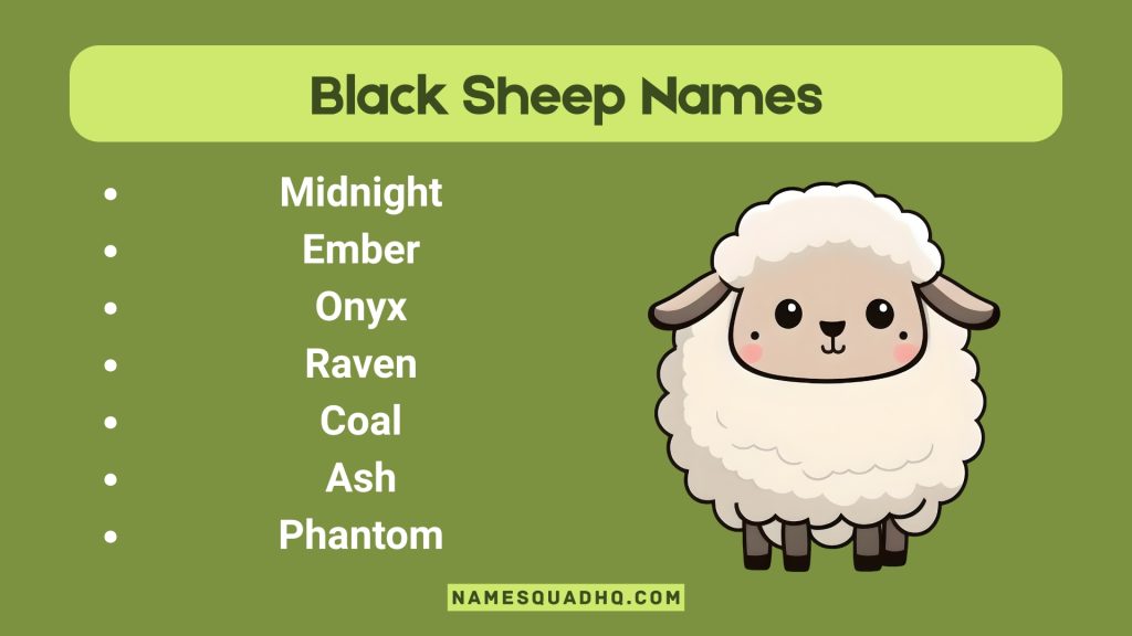 Black Sheep Names