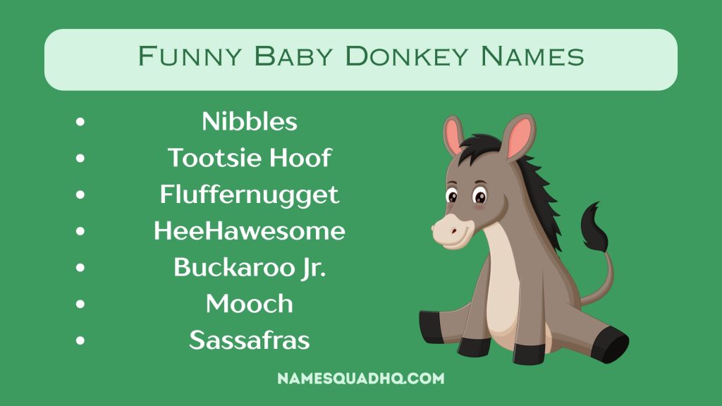 Funny Baby Donkey Names
