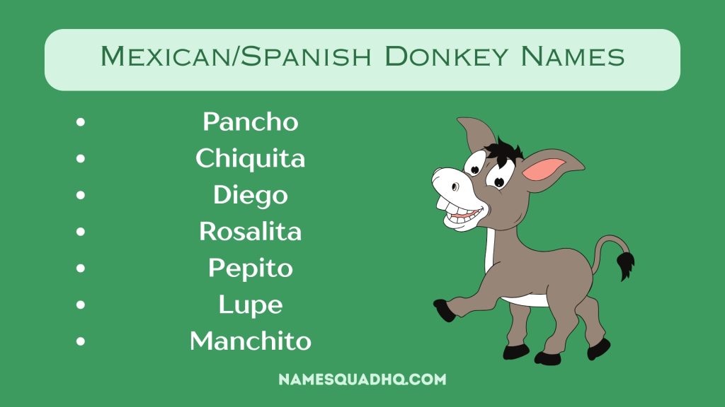 Mexican/Spanish Donkey Names