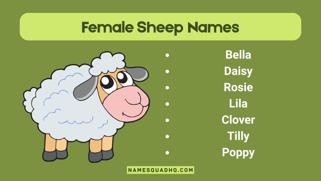 Female Sheep Names