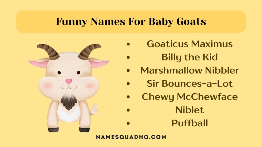 Funny Names For Baby Goats