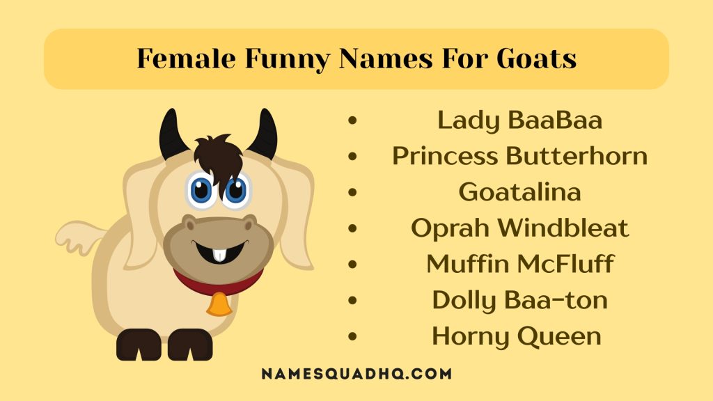 Female Funny Names For Goats
