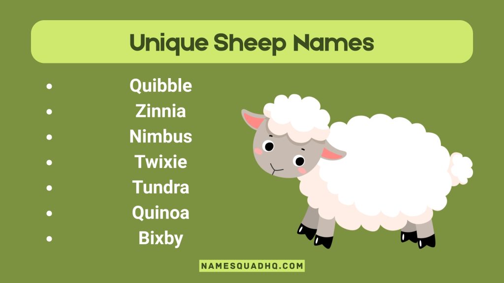 Unique Sheep Names